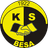 Besa