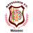 Artesanos Metepec FC